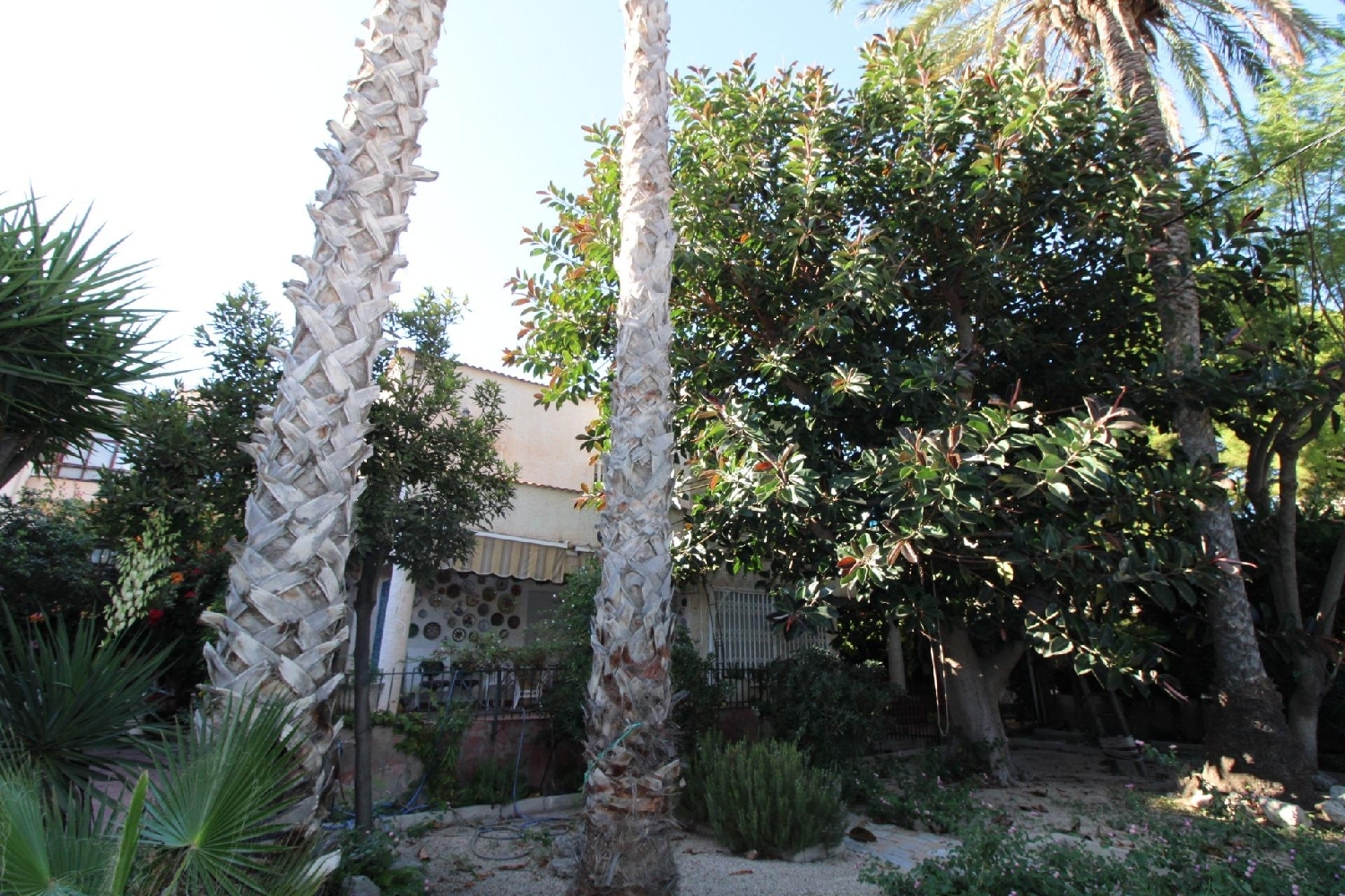  kaufen Villa Santiago De La Ribera Mar Menor 4