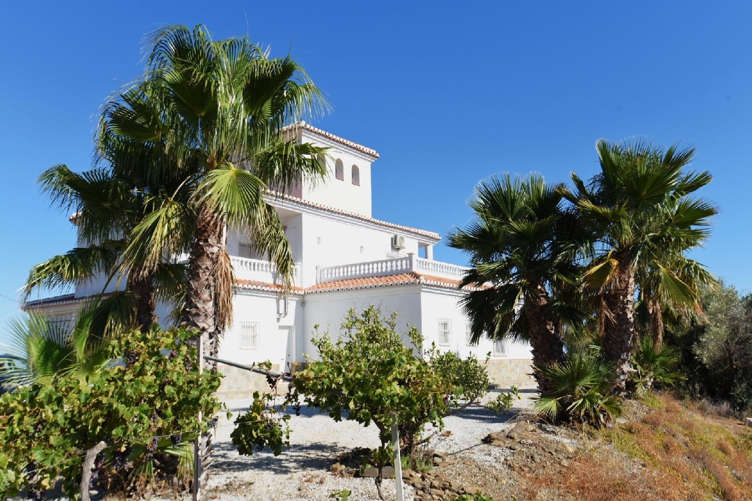  te koop villa Sayalonga Axarquía 8