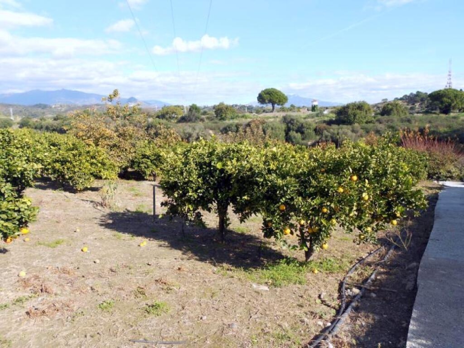  till salu villa Los Llanos Costa Del Sol Occidental 14