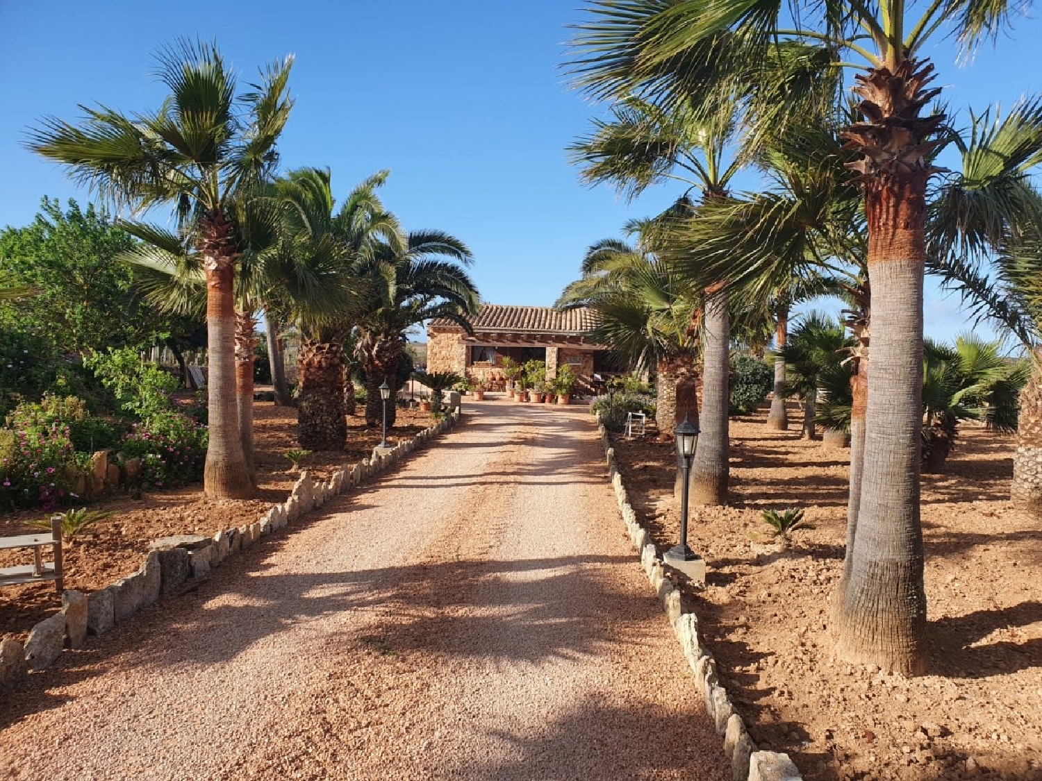  till salu villa Ses Salines Sud 1