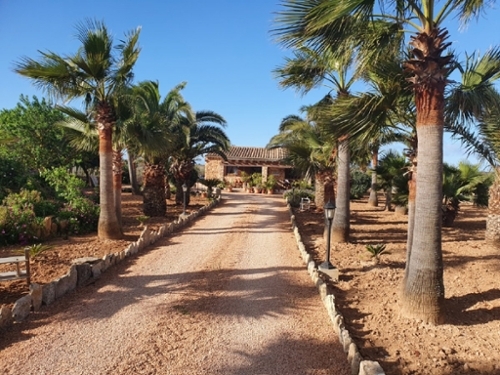 Ses Salines Sud villa foto 6240822