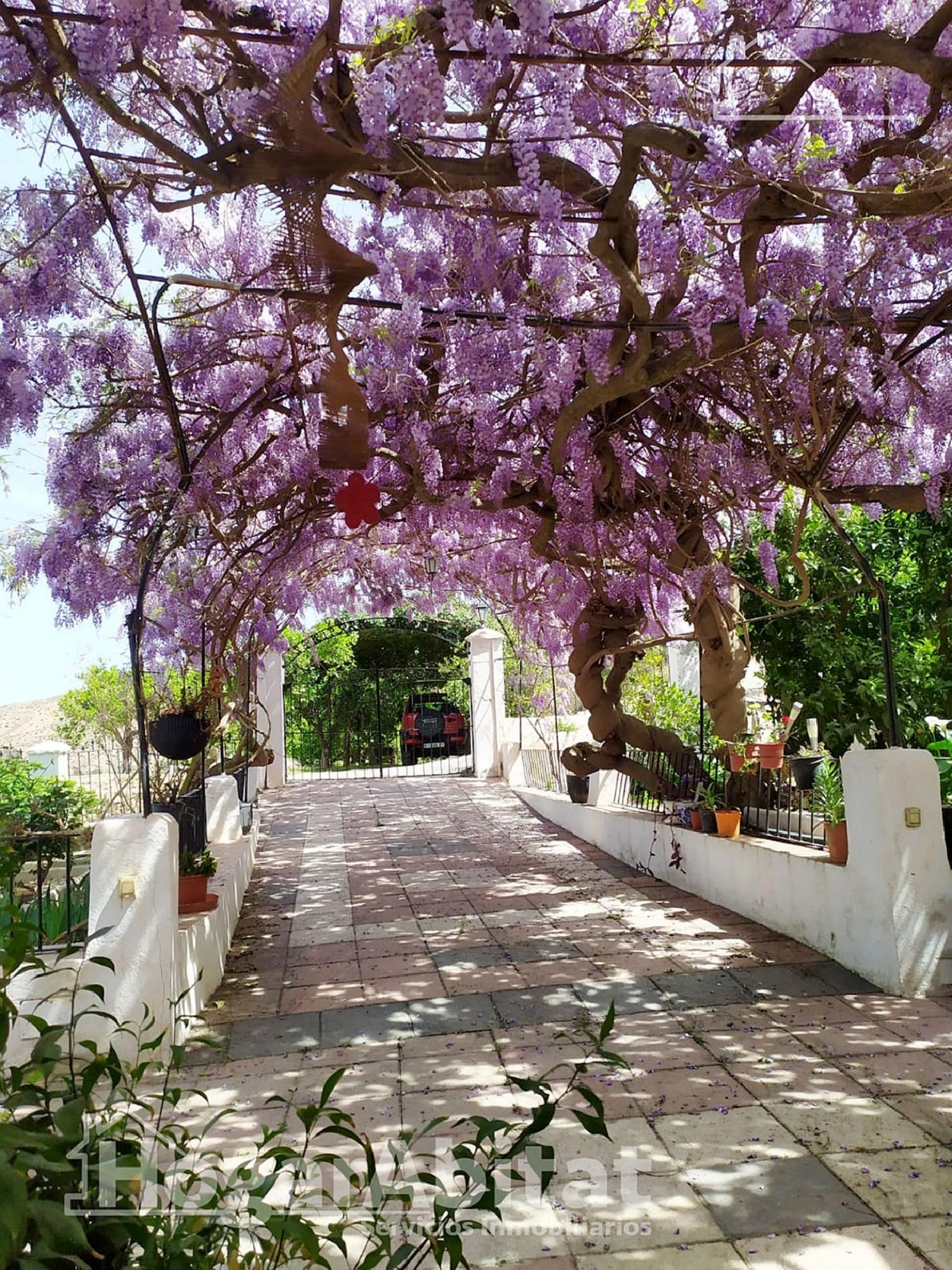  till salu villa Terque Alpujarra Almeriense 8