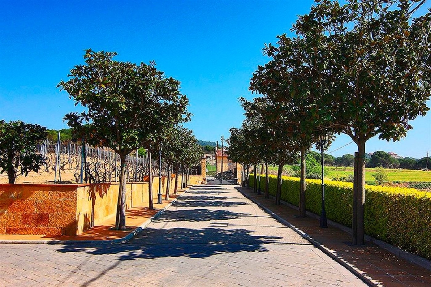 till salu villa Tordera Maresme 2
