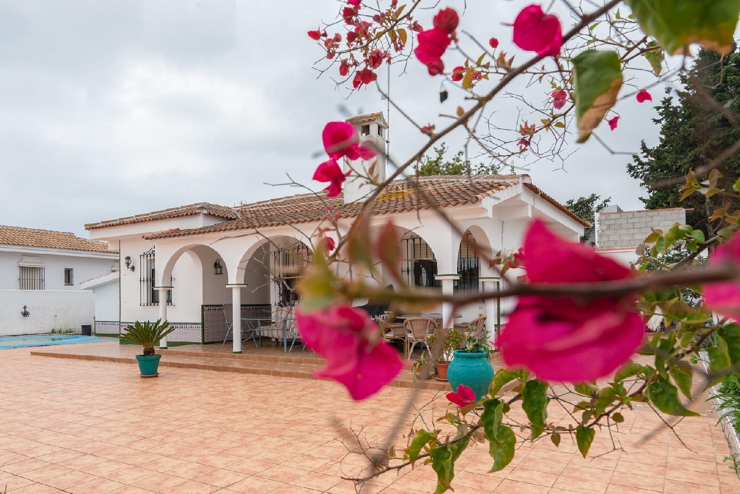 till salu villa Torre De La Higuera O Matalascañas Condado (El) 2