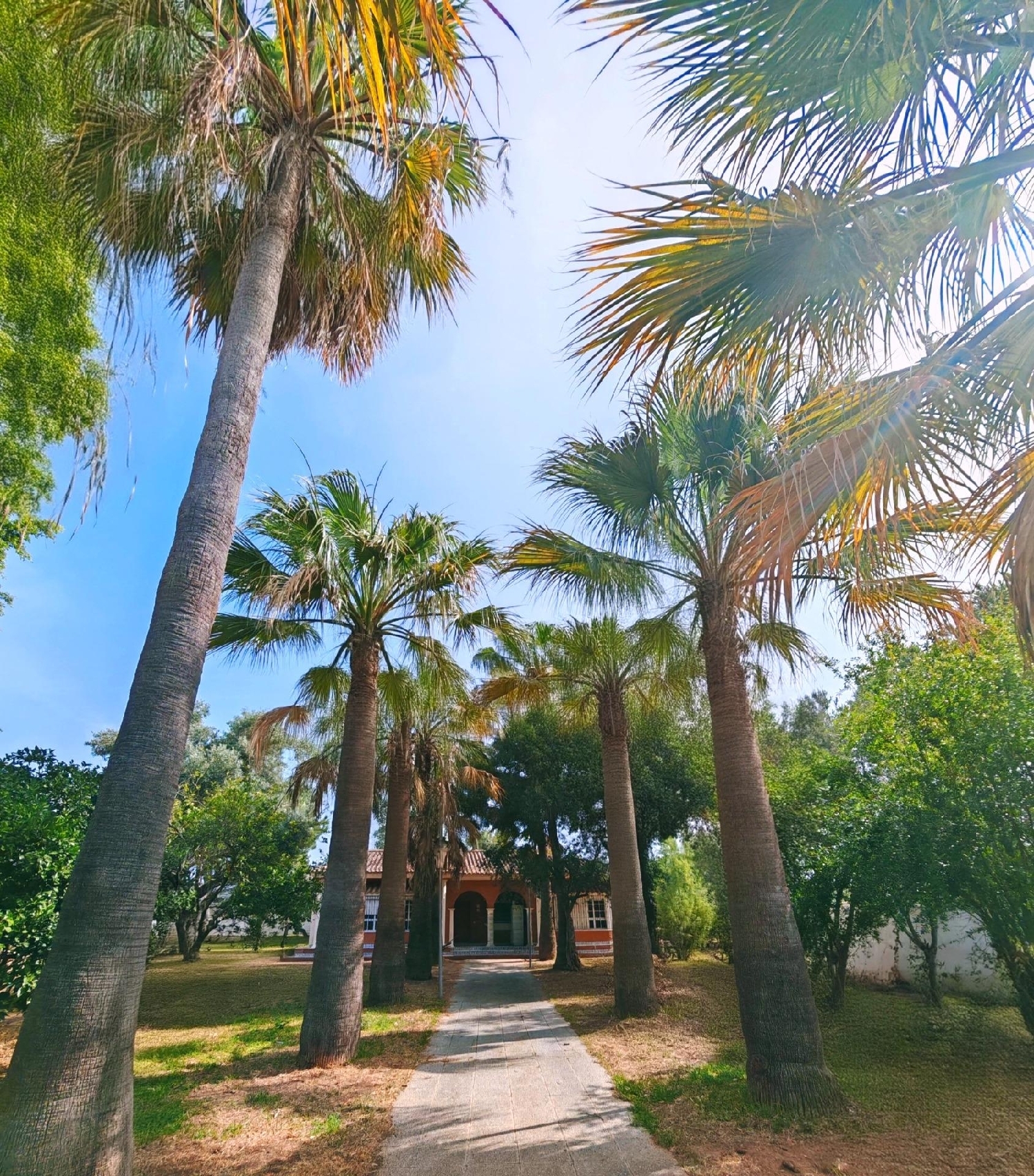  till salu villa Torre Del Puerco Bahía De Cádiz 1