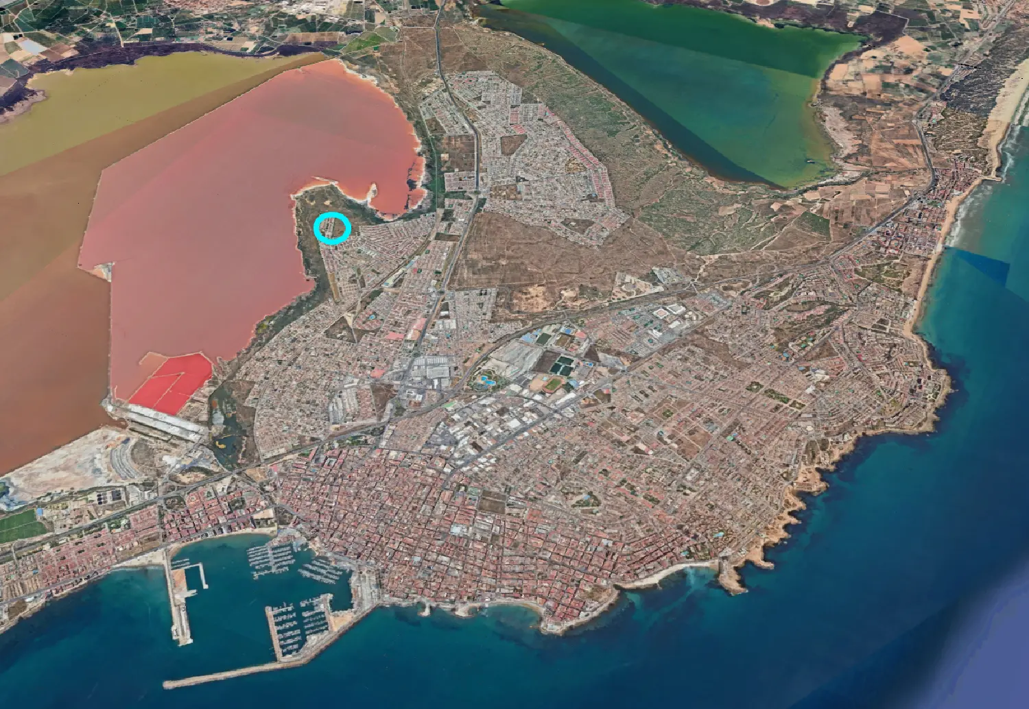  till salu villa Urbanización Vistabella Golf Baix Segura 5