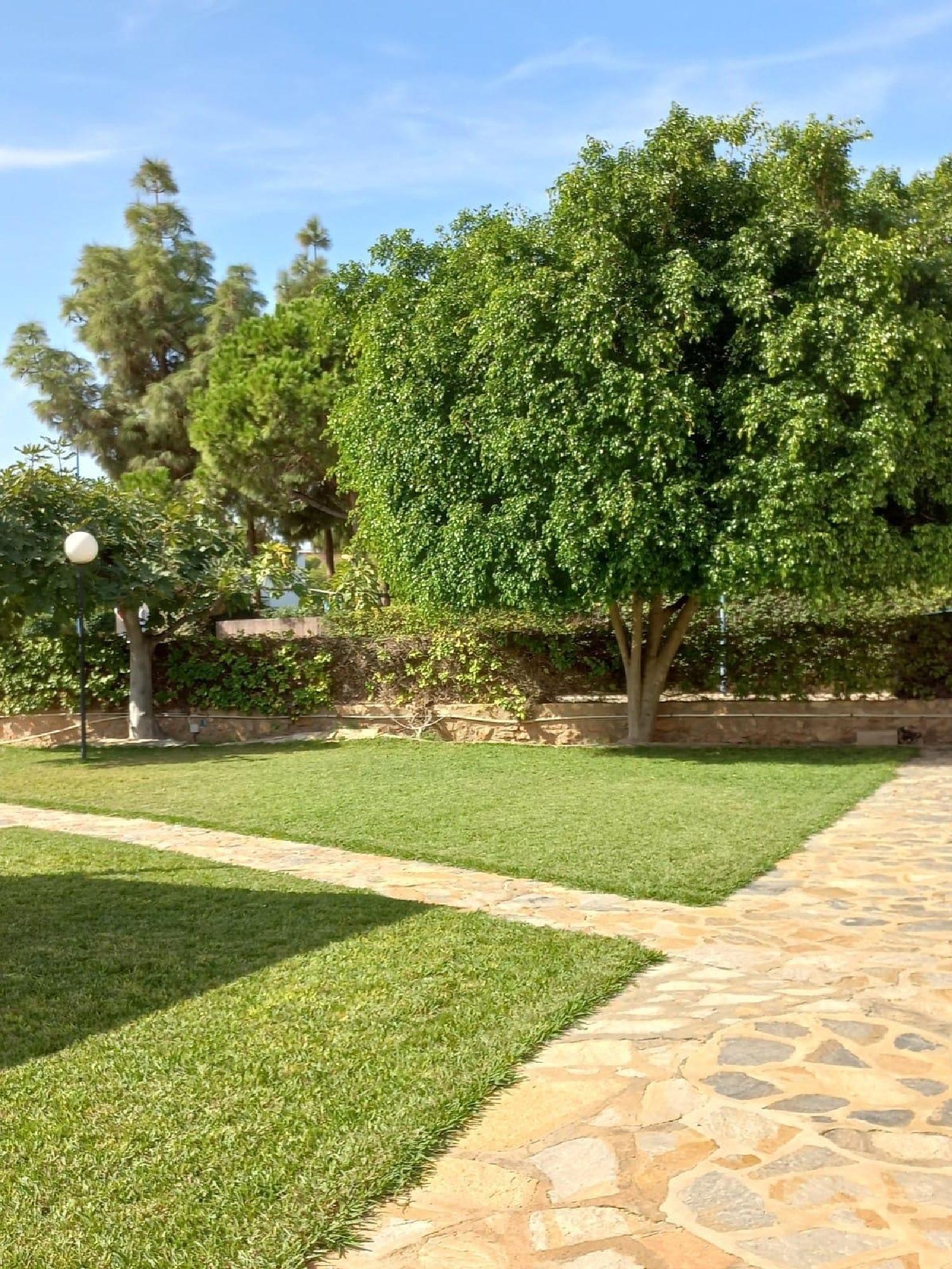  till salu villa Urbanización El Presidente Baix Segura 7
