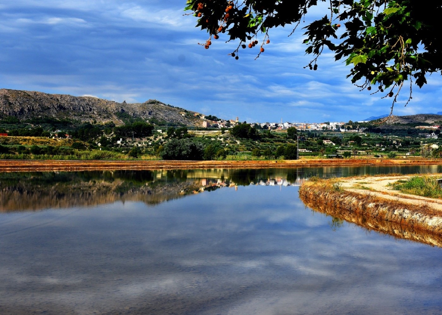  till salu villa Cortijo Alto Noroeste 15