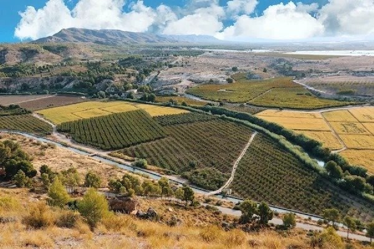  till salu villa Cortijo Alto Noroeste 17