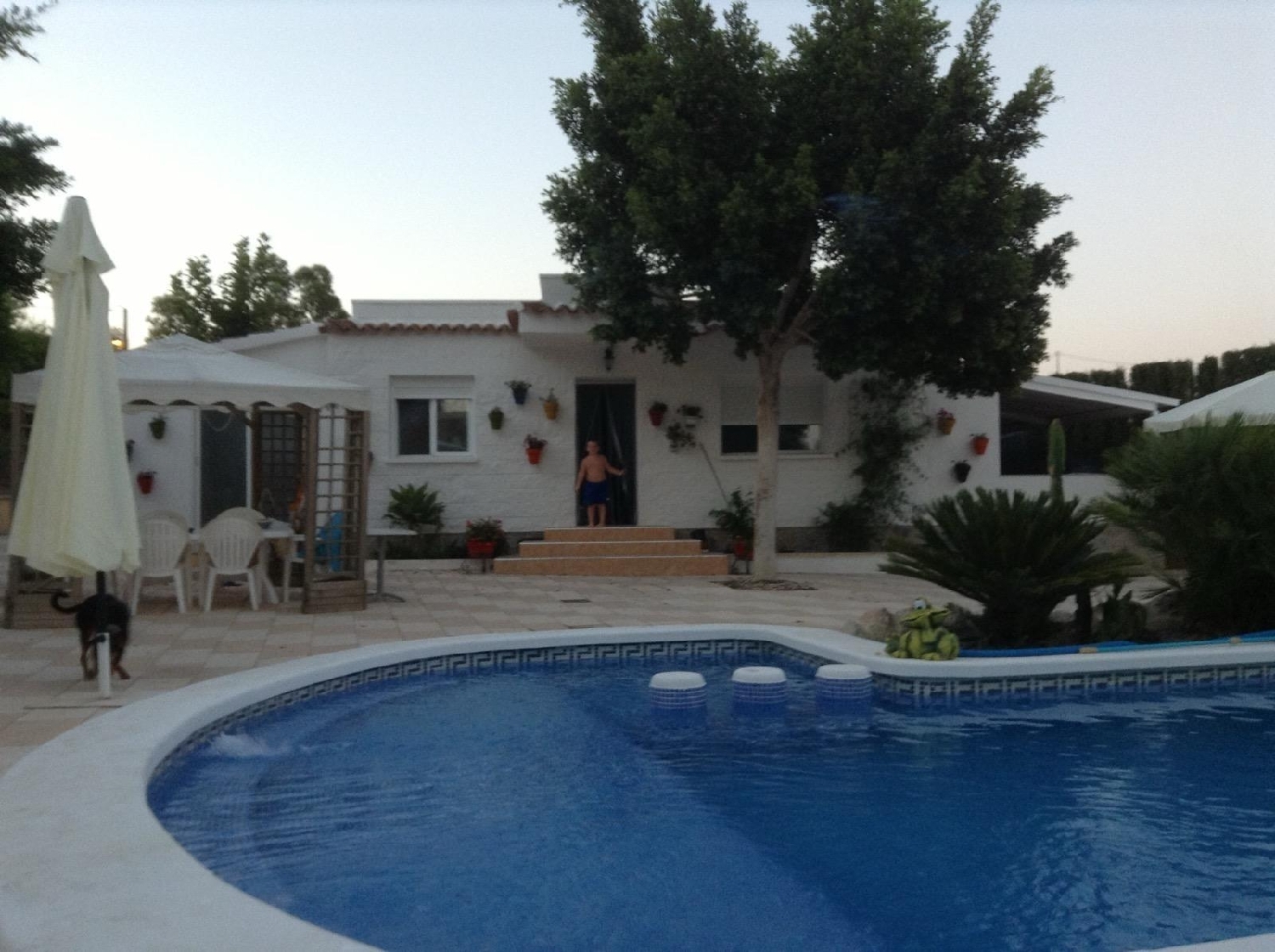  till salu villa Verdegàs Alacantí 2