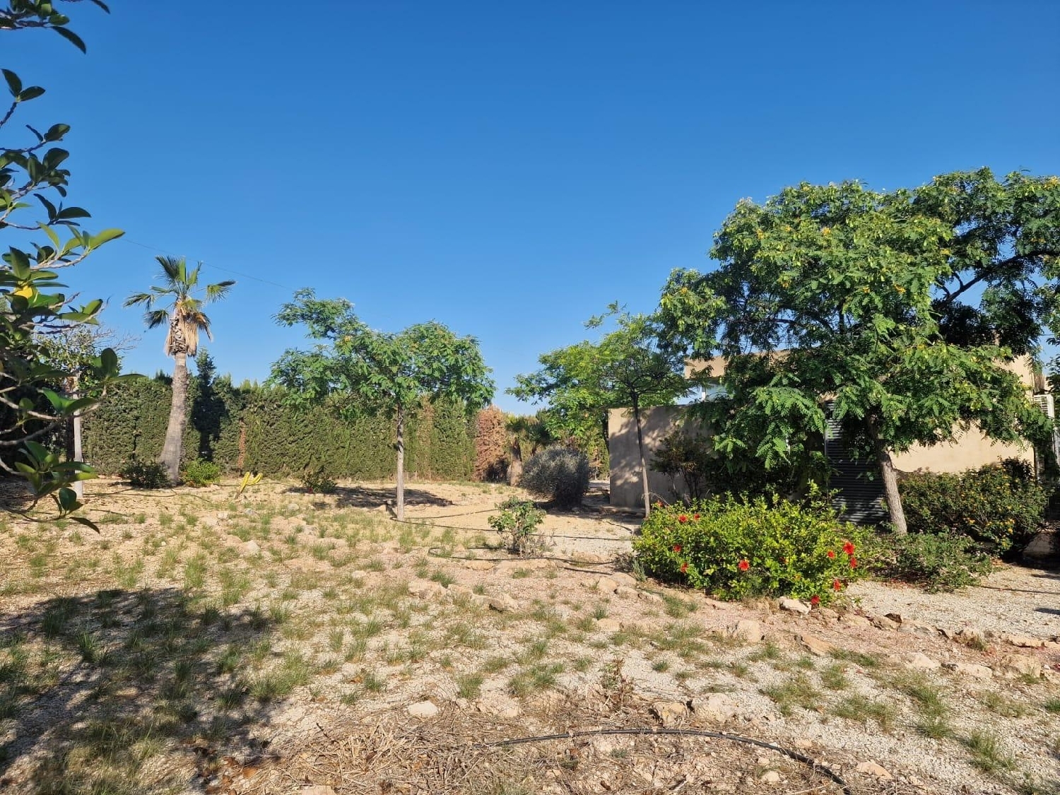  till salu villa Verdegàs Alacantí 6