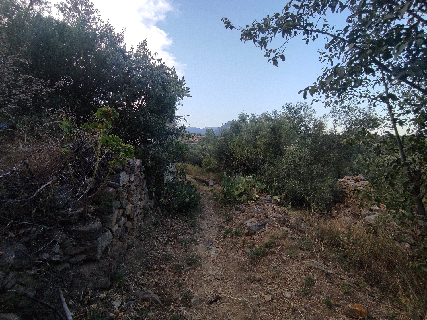  till salu villa Vilartoli Alt Empordà 4