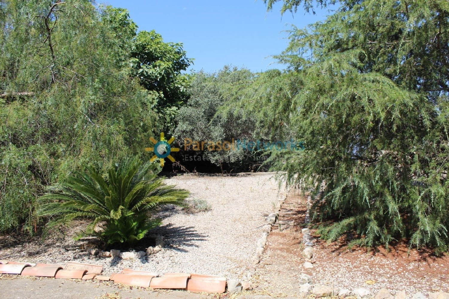  till salu villa Villalonga Safor 4