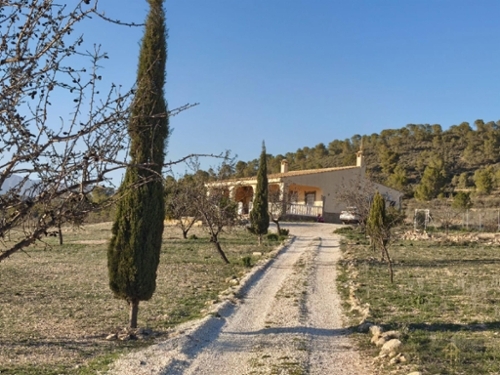 Xinorlet Vinalopó Mitjà villa foto 6230210