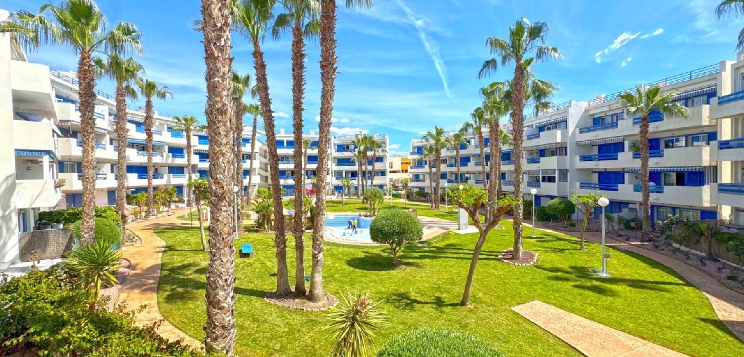  till salu lägenhet Alameda Del Mar D-1 Baix Segura 1