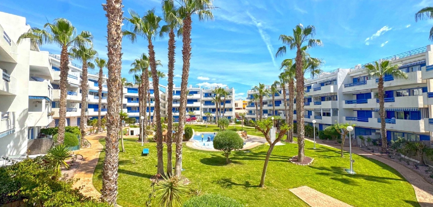  till salu lägenhet Alameda Del Mar D-1 Baix Segura 5