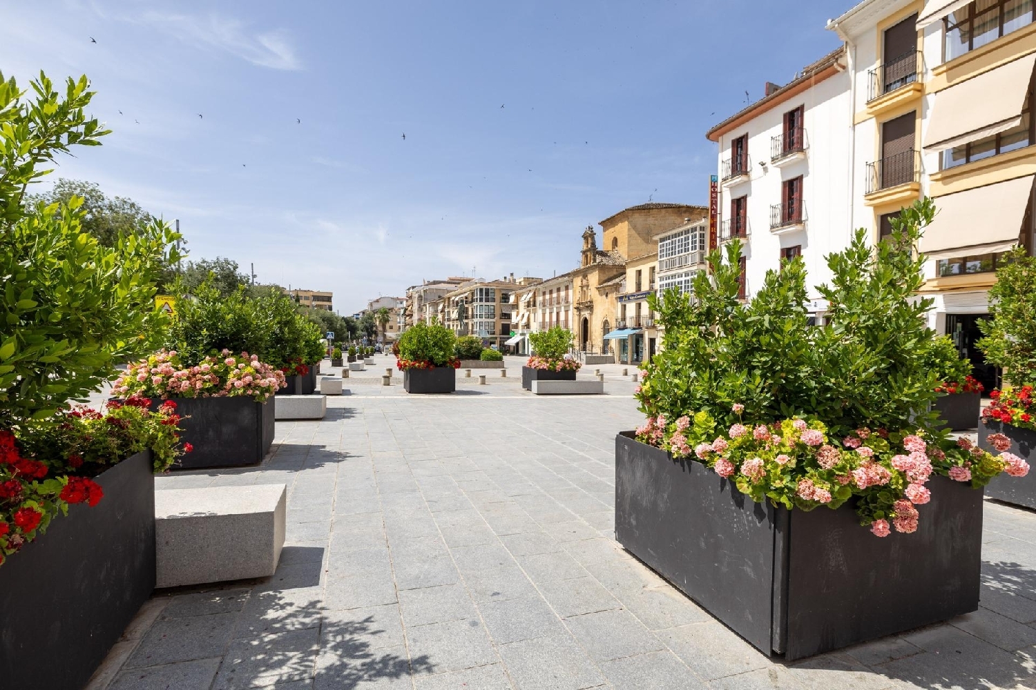  à vendre appartement Alcalá La Real Sierra Sur 1