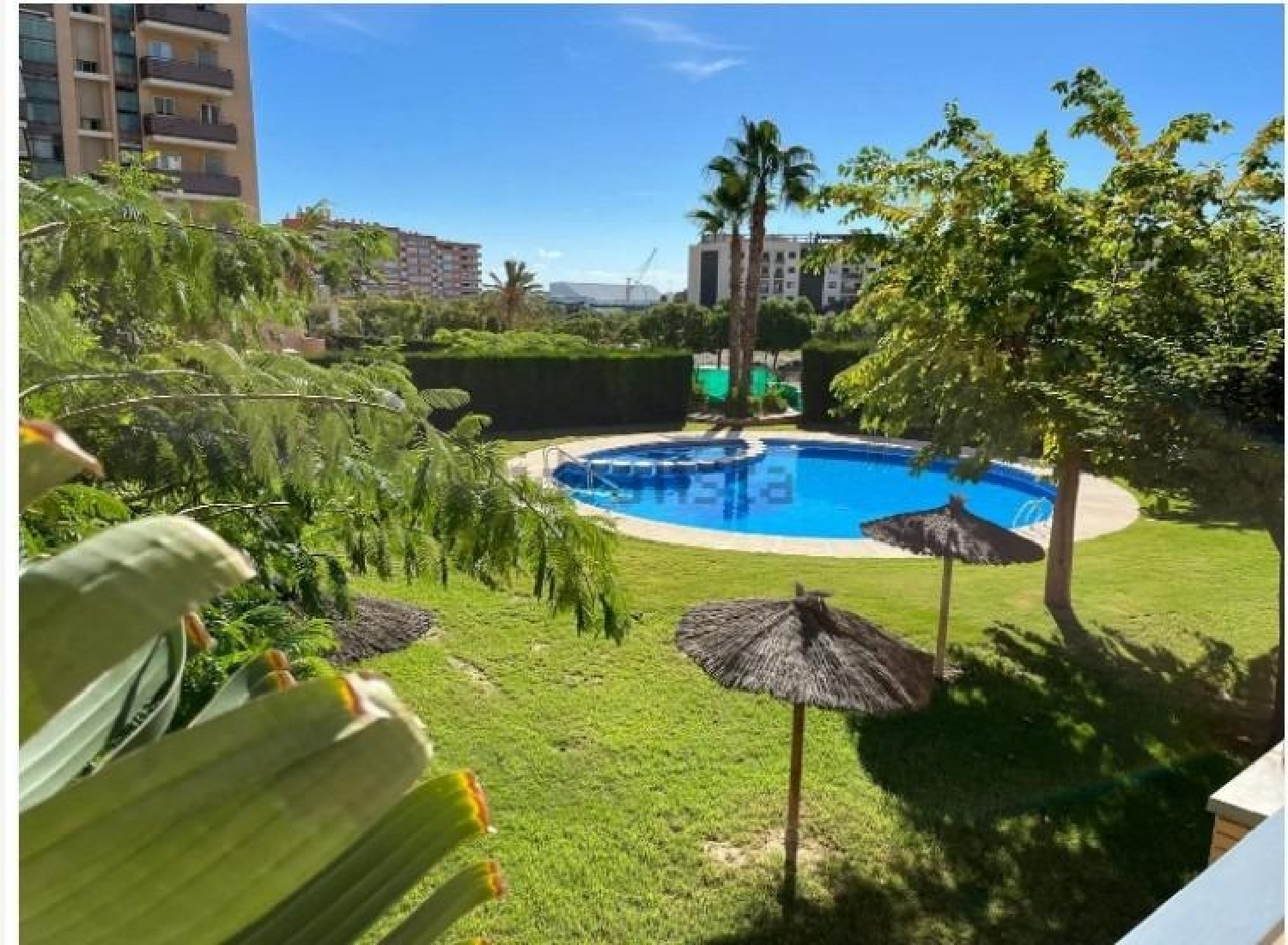 for sale apartment Alicante Centro 03001 Alacantí 2