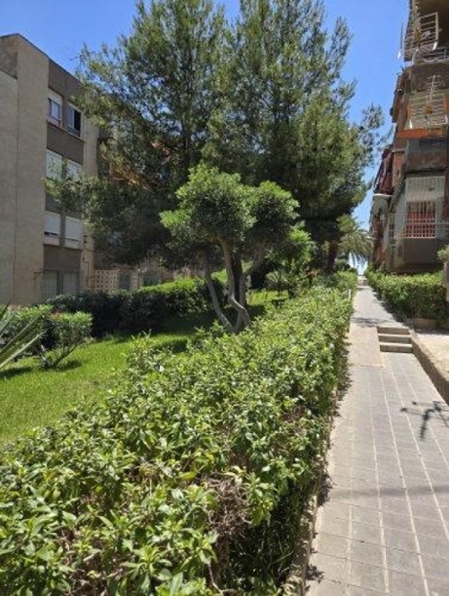 Alicante Centro 03001 Alacantí apartment foto 6279188