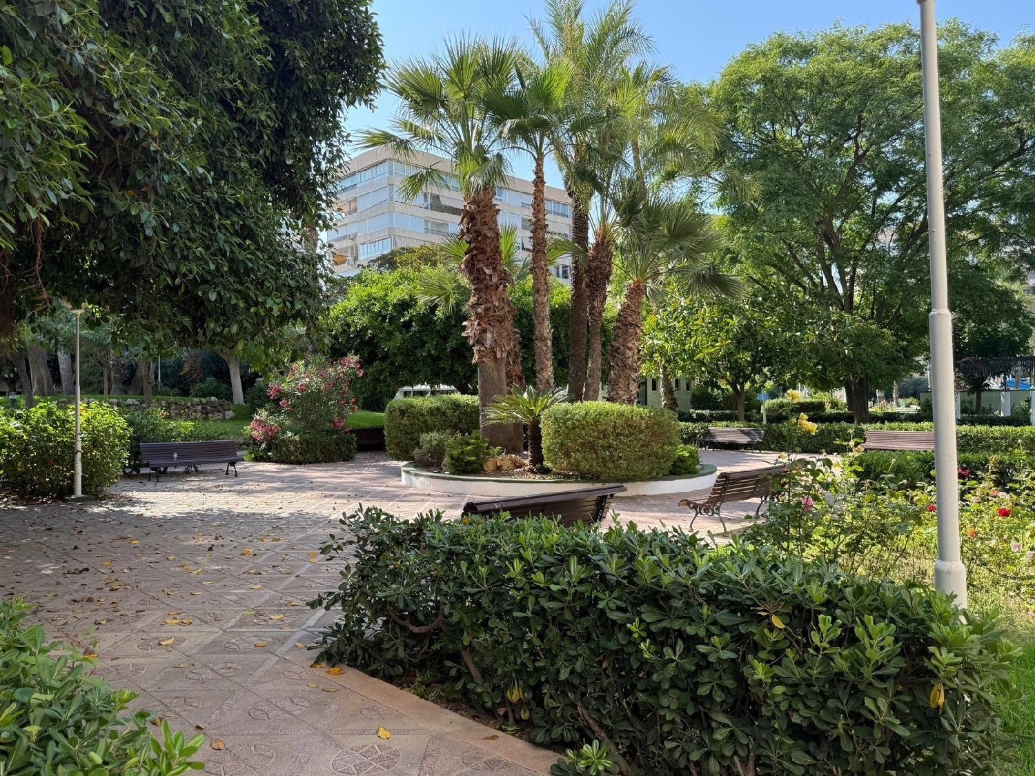  à vendre appartement Alicante Centro 03001 Alacantí 4