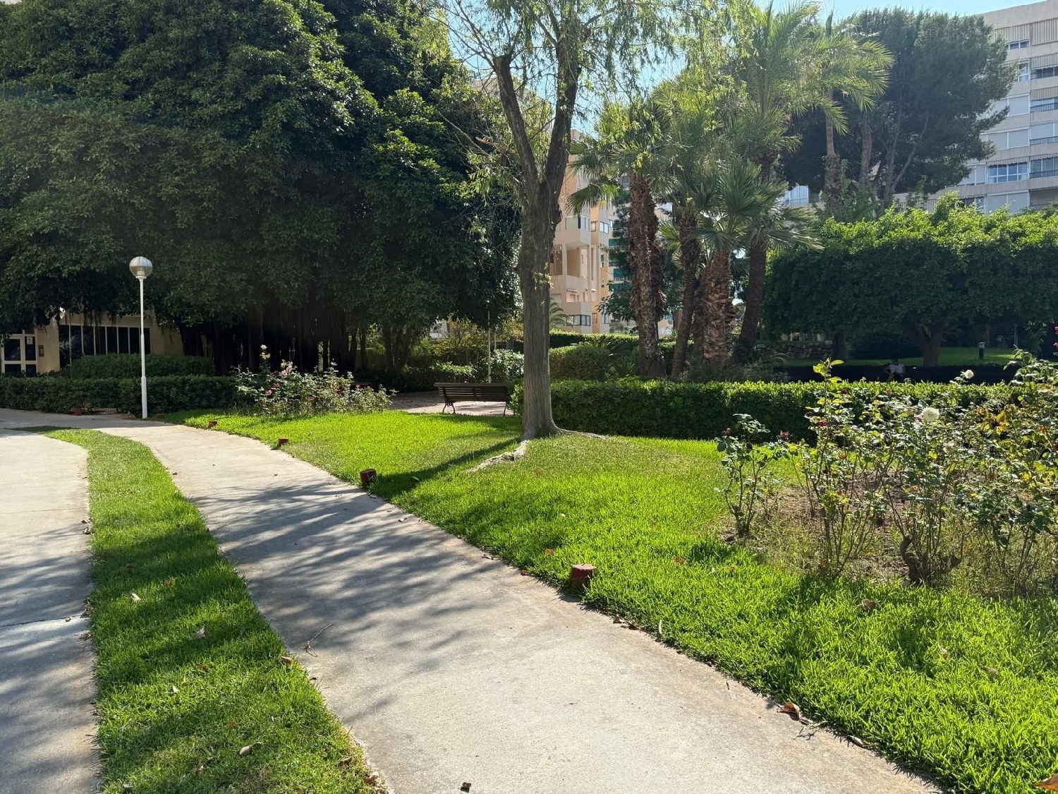  à vendre appartement Alicante Centro 03001 Alacantí 6