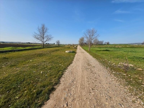 Almodóvar Del Río Valle Medio Del Guadalquivir appartement foto 6273587