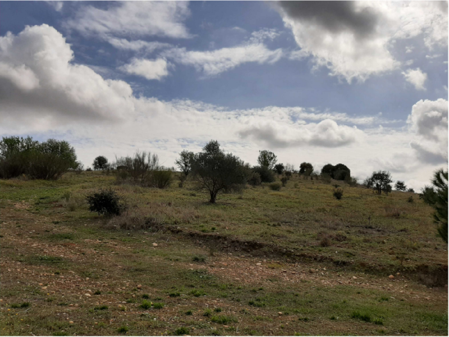  en venta apartamento Badajoz Casco Antiguo-Centro Badajoz 6