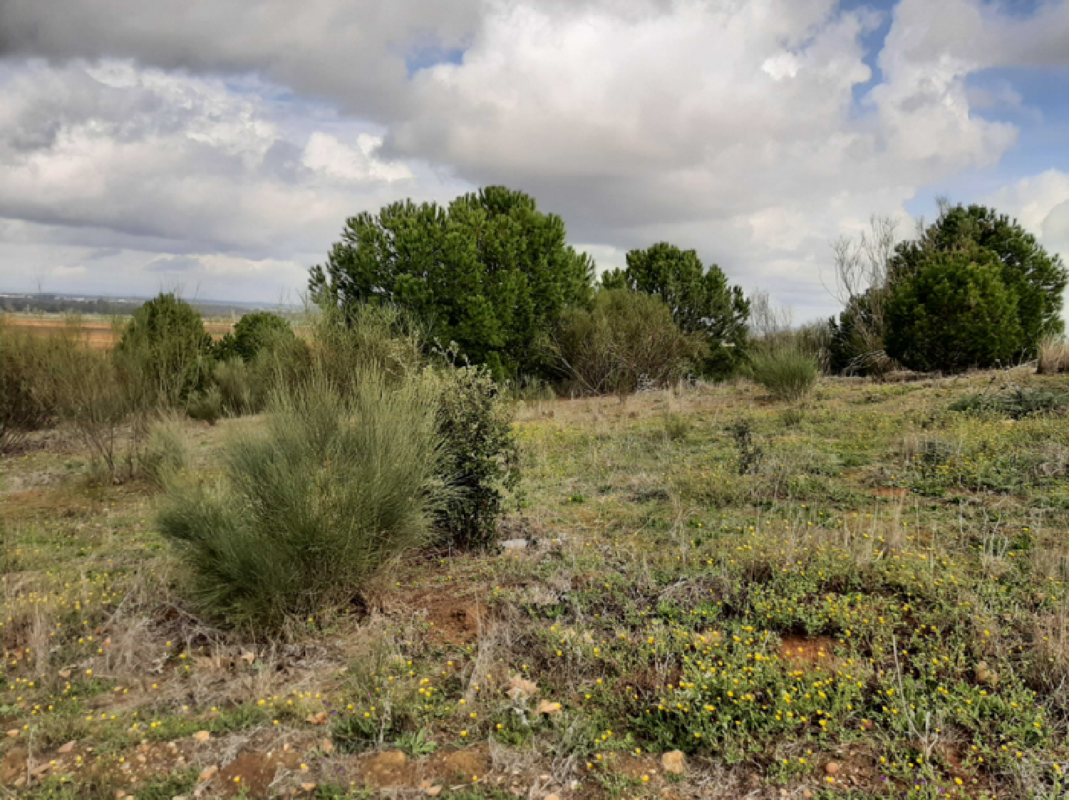  en venta apartamento Badajoz Casco Antiguo-Centro Badajoz 4
