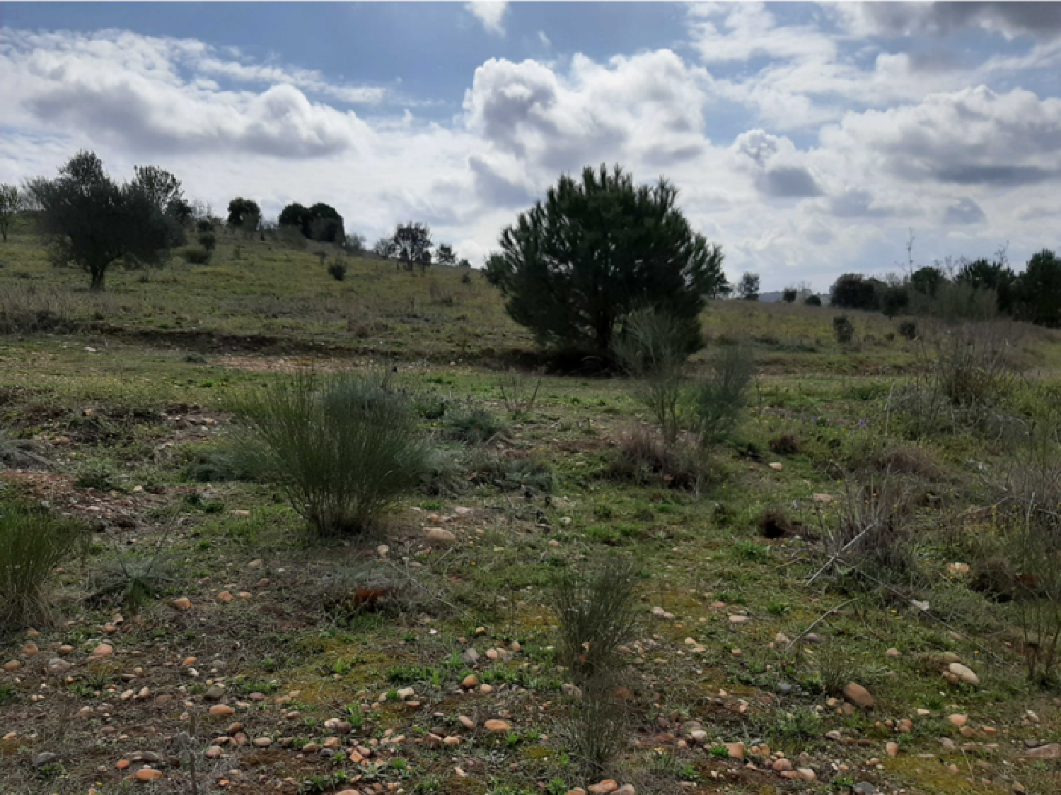  en venta apartamento Badajoz Casco Antiguo-Centro Badajoz 7