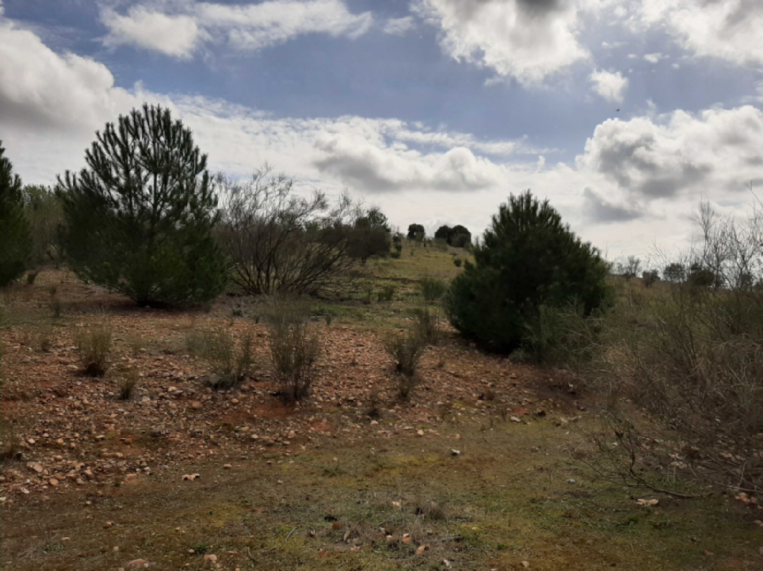  en venta apartamento Badajoz Casco Antiguo-Centro Badajoz 8