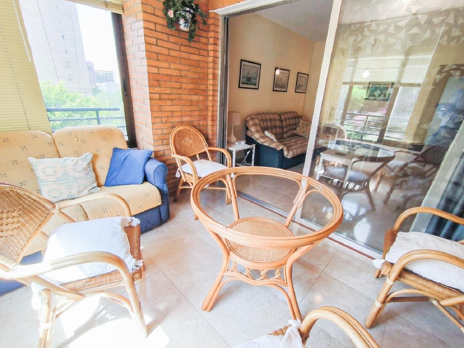  en venta apartamento Benidorm Marina Baixa 6