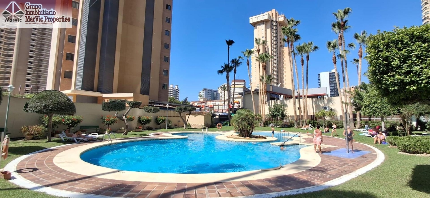  kaufen Wohnung Benidorm Marina Baixa 1