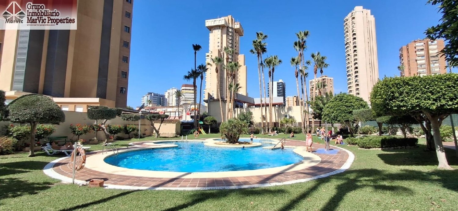  kaufen Wohnung Benidorm Marina Baixa 6