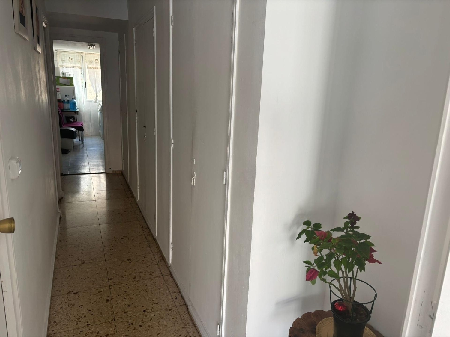  kaufen Wohnung Benidorm Marina Baixa 7