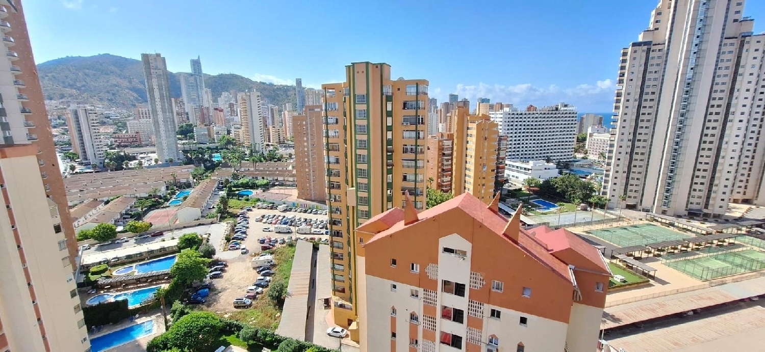  kaufen Wohnung Benidorm Marina Baixa 1