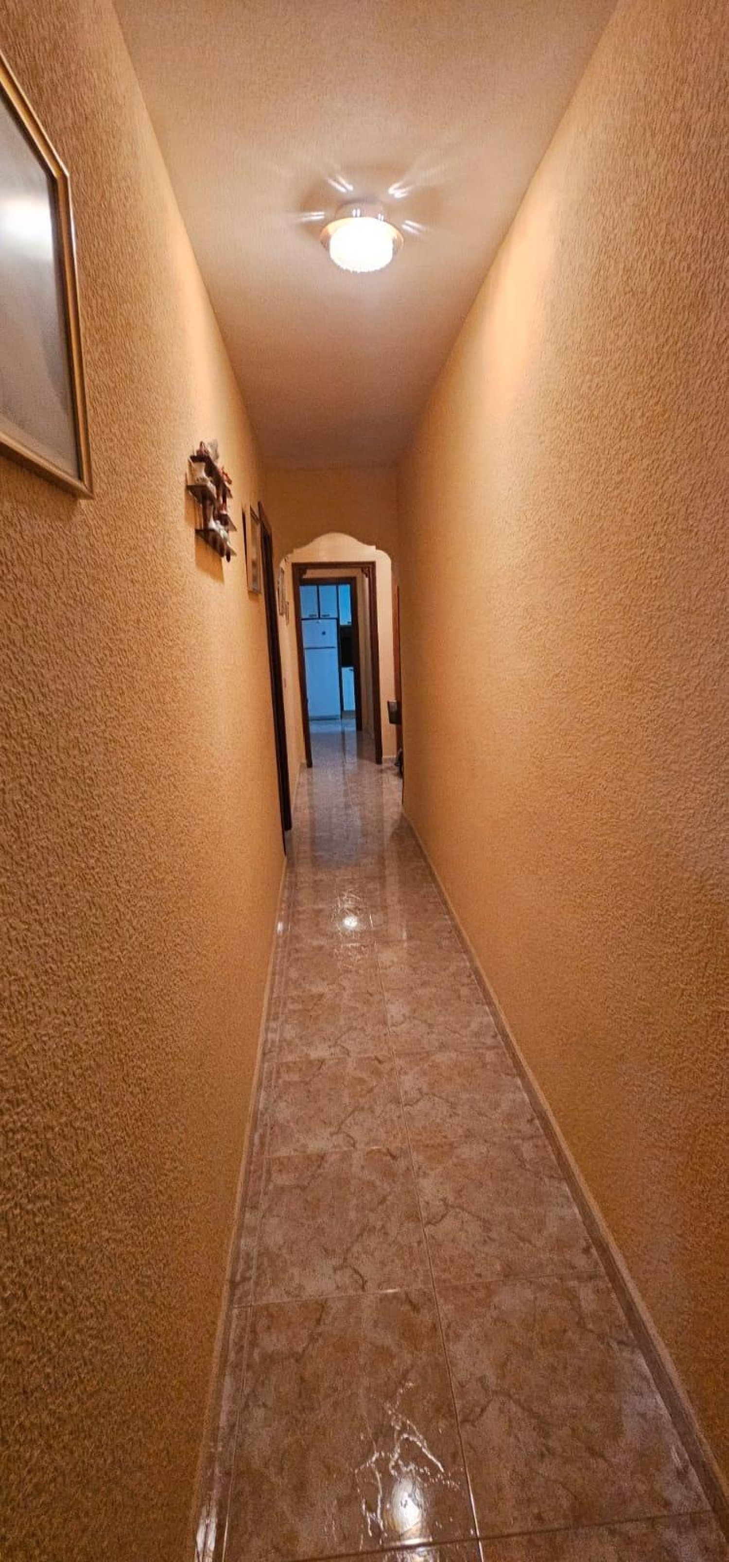  till salu lägenhet Benidorm (Centro) Marina Baixa 5