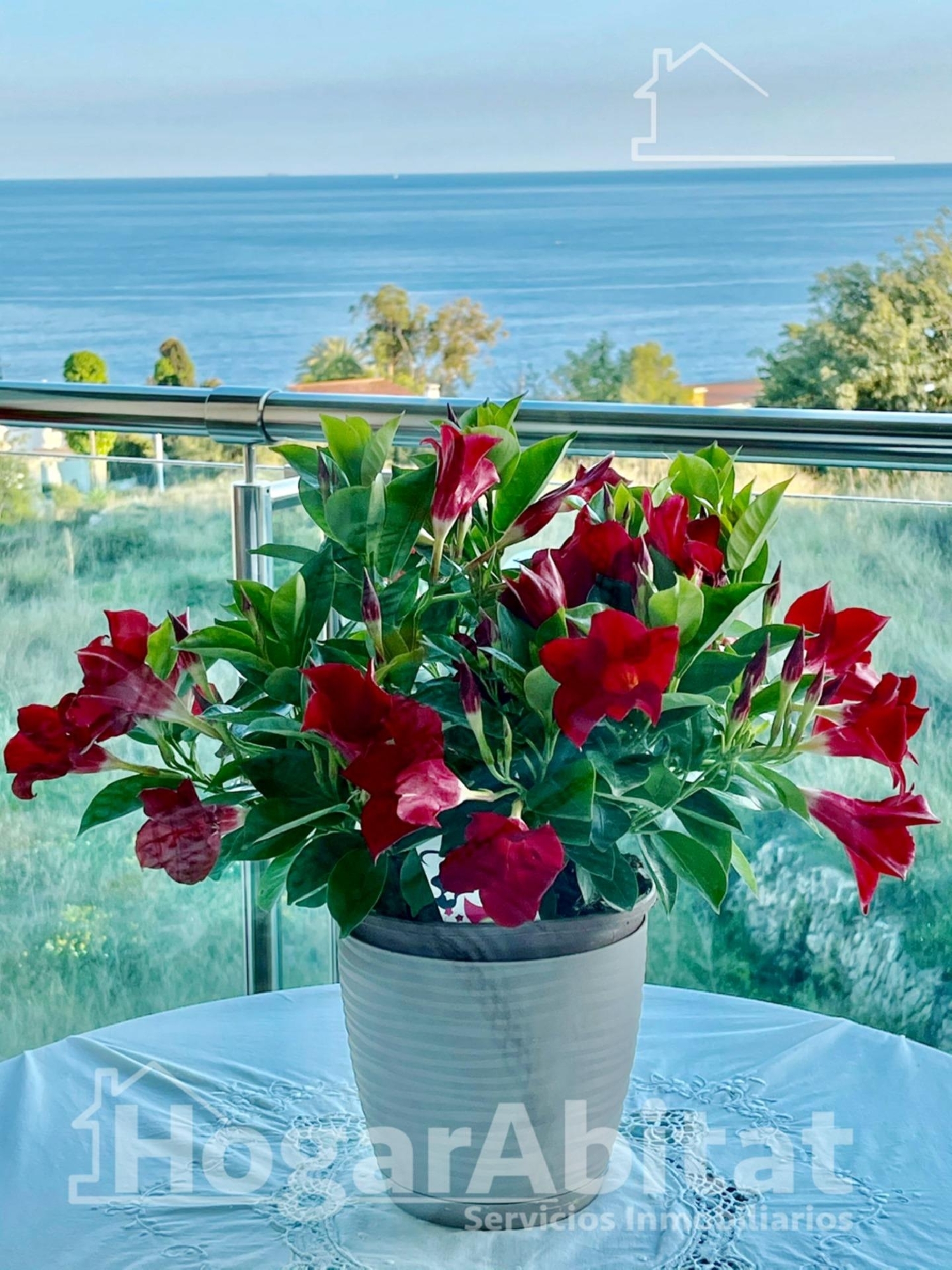  te koop appartement Calpe Marina Alta 4