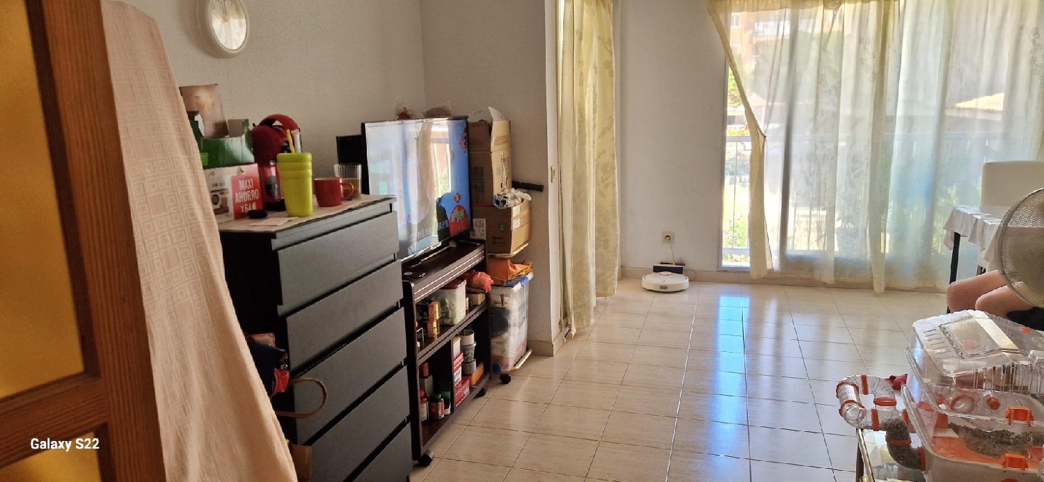  à vendre appartement Calvià Ponent 3