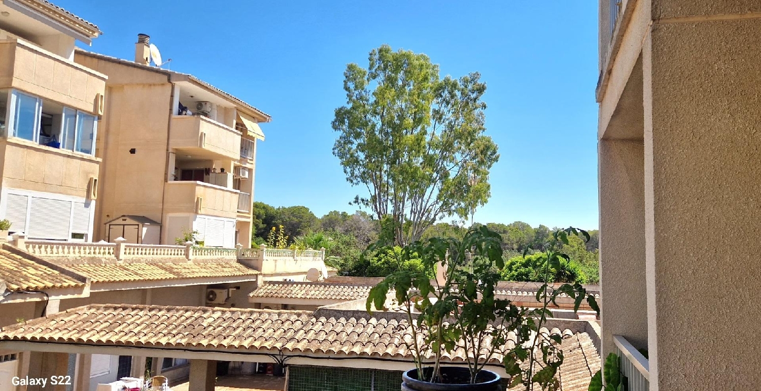  à vendre appartement Calvià Ponent 1