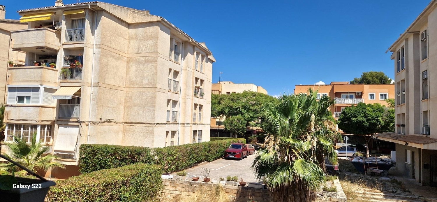  à vendre appartement Calvià Ponent 2