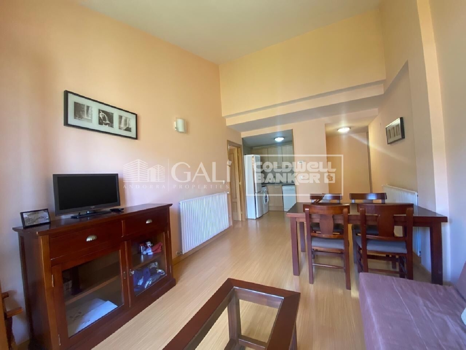  for sale apartment Canillo Canillo 5