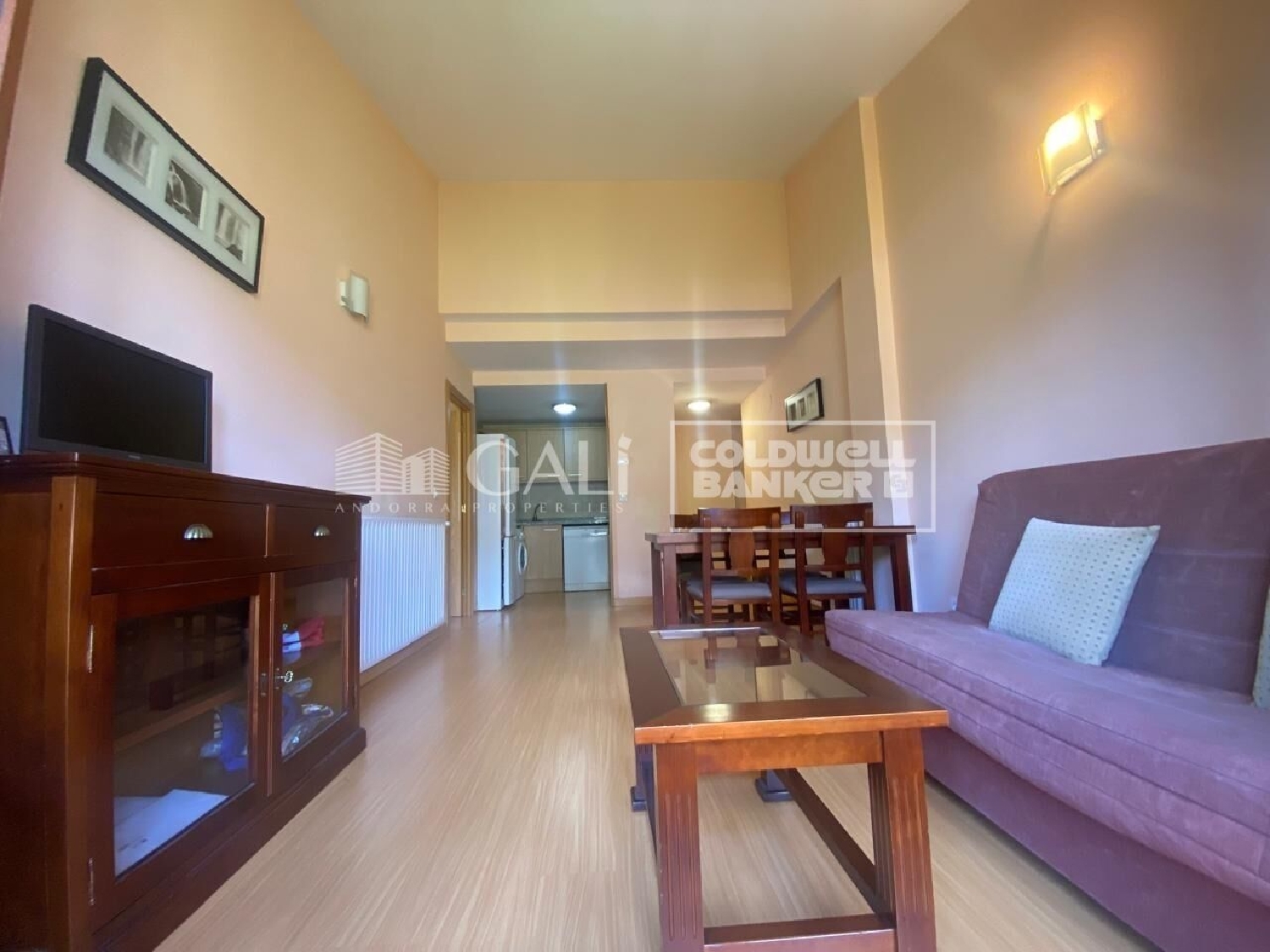  for sale apartment Canillo Canillo 3
