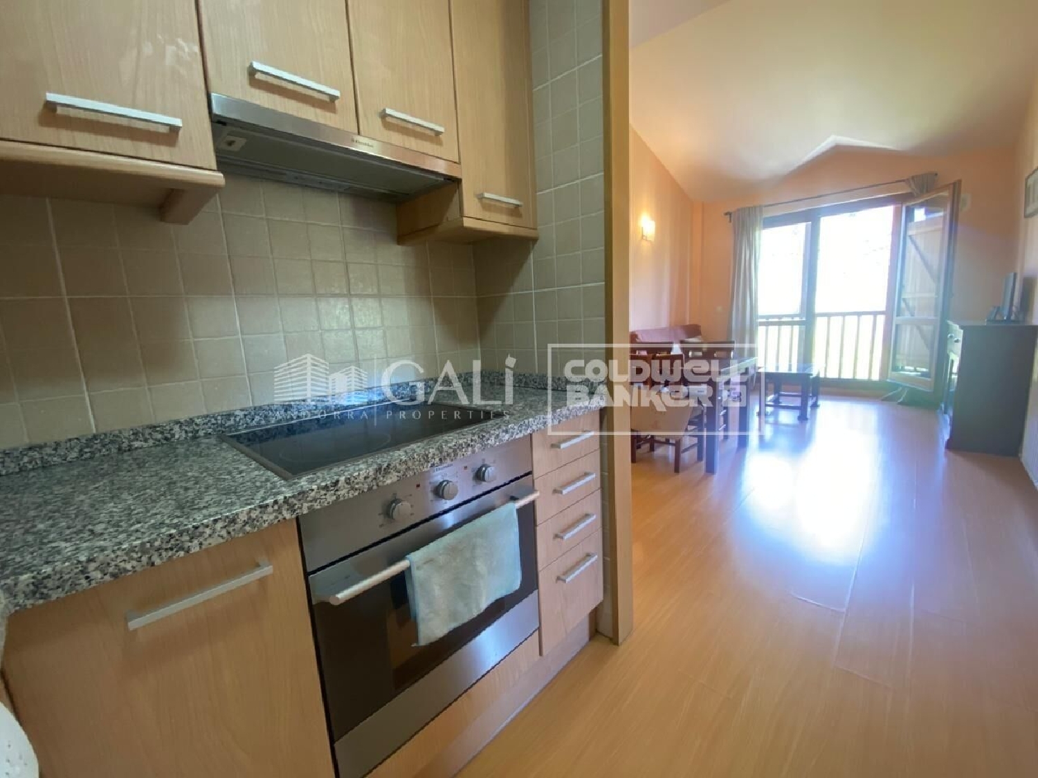  for sale apartment Canillo Canillo 1