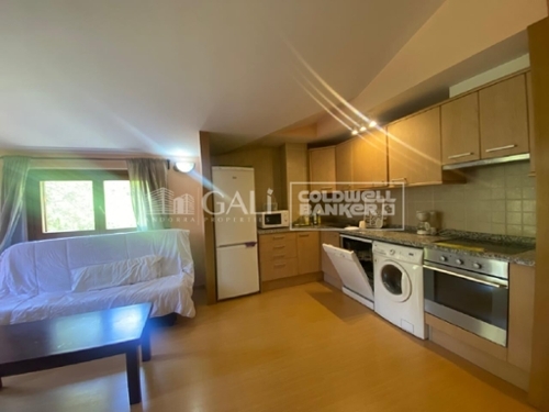 Canillo Canillo apartment foto 6283360
