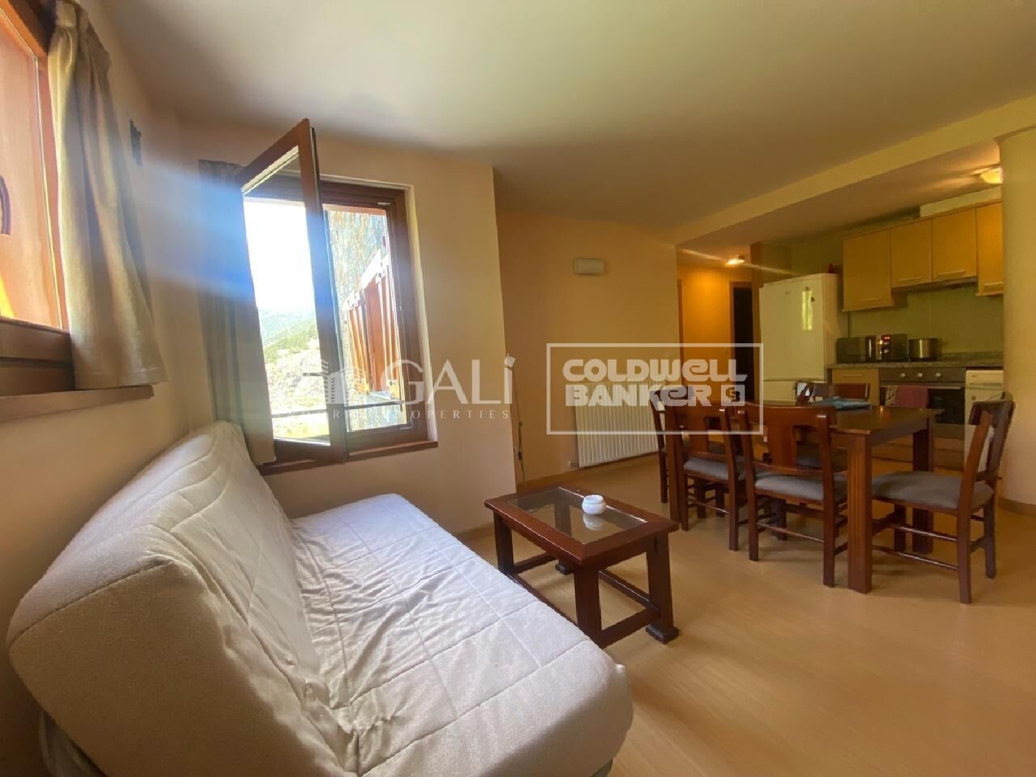  for sale apartment Canillo Canillo 5