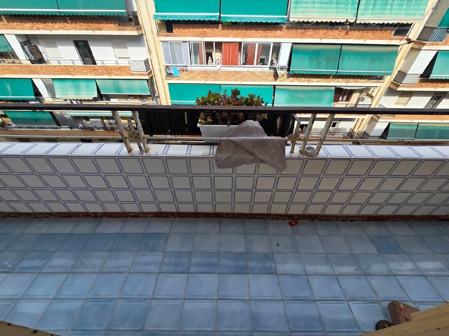  en venta apartamento Ciudad Jardín Alacantí 5