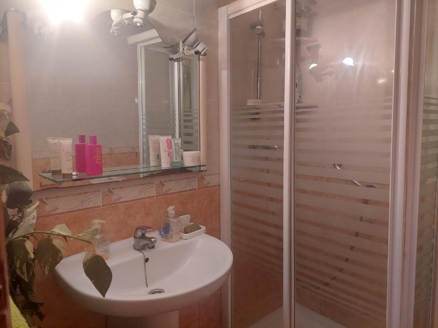  à vendre appartement Crevillent Baix Vinalopó 5