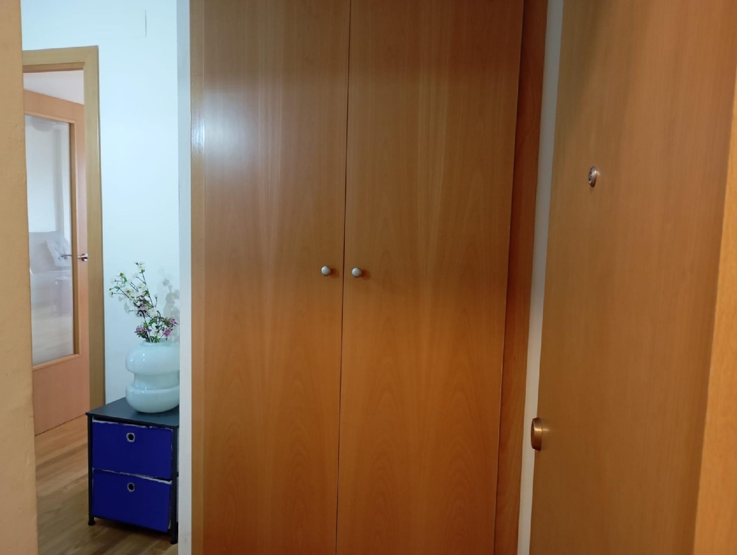  à vendre appartement Deltebre Baix Ebre 7