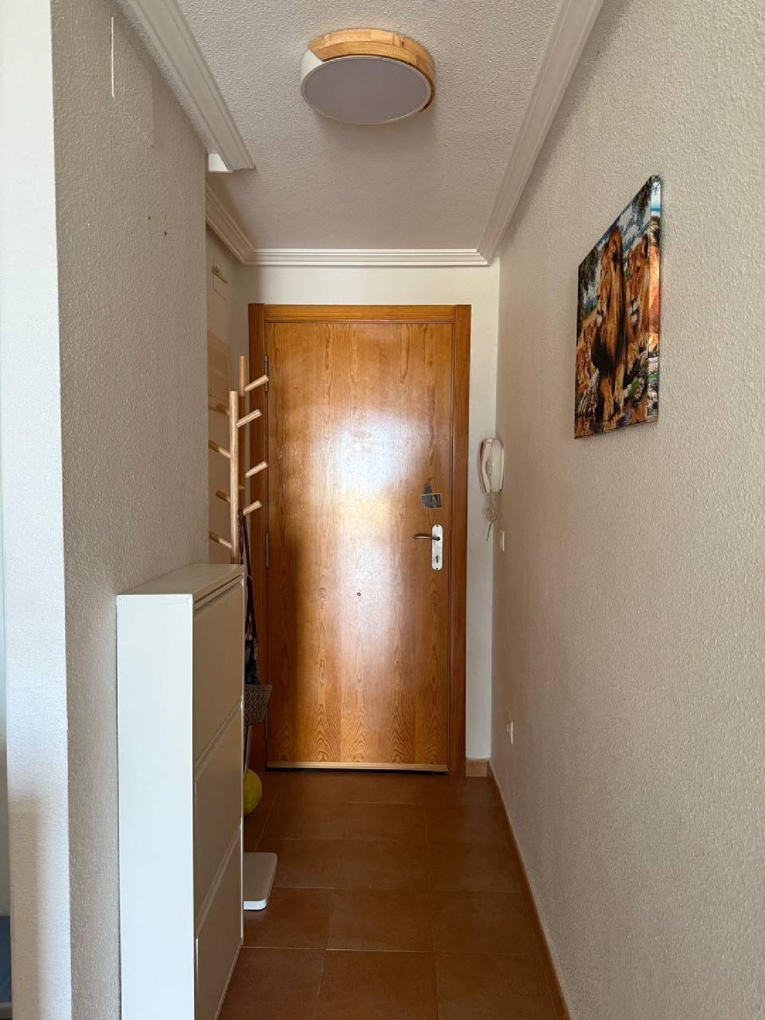 kaufen Wohnung El Campello Alacantí 2