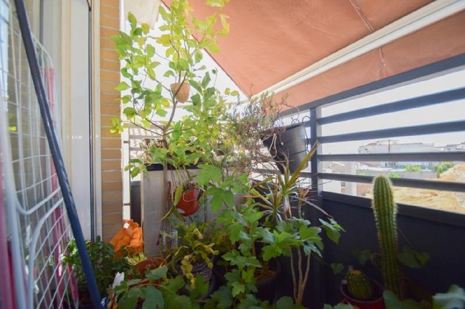  kaufen Wohnung El Pocico Accitania 6